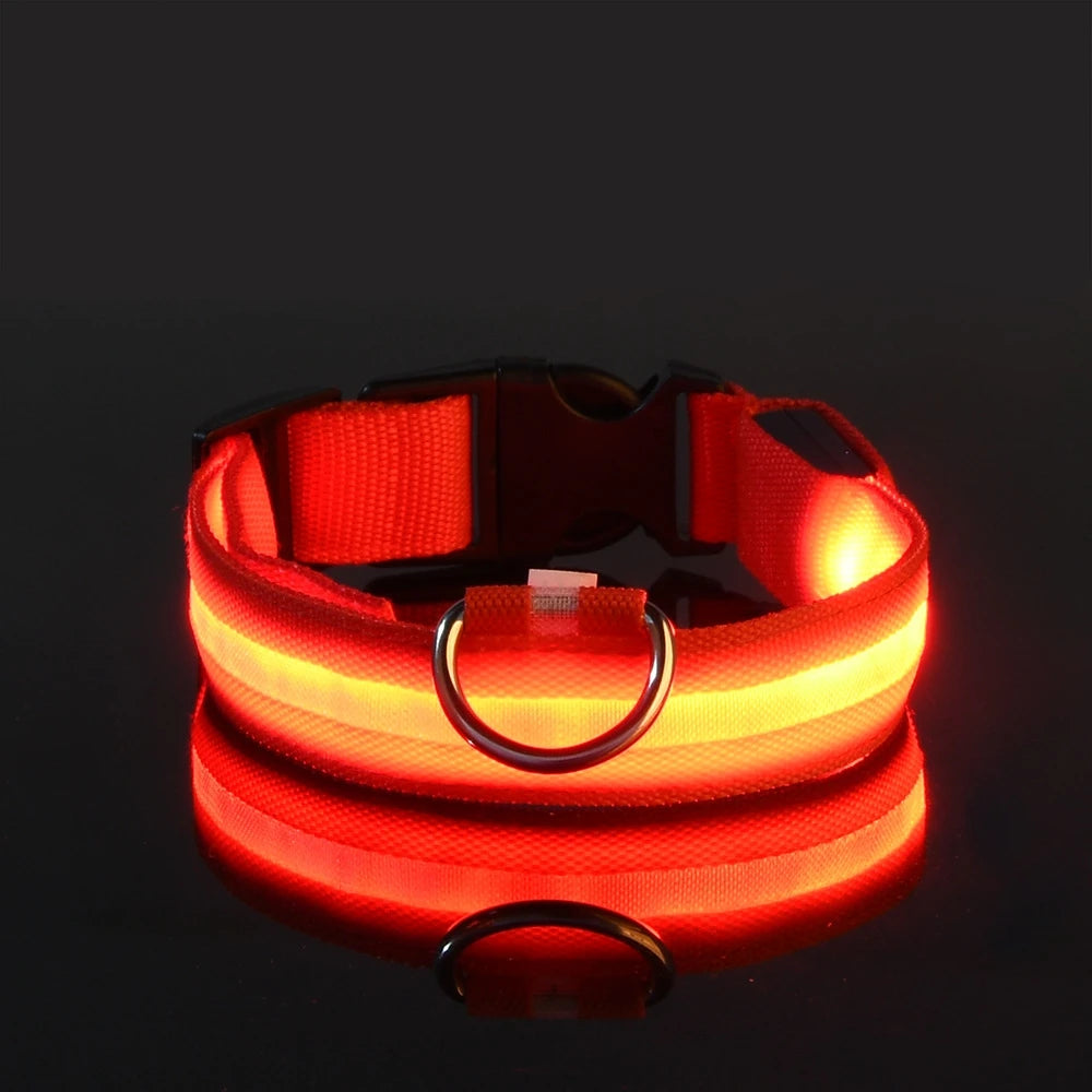 LED Glow Dog Leash & Collar