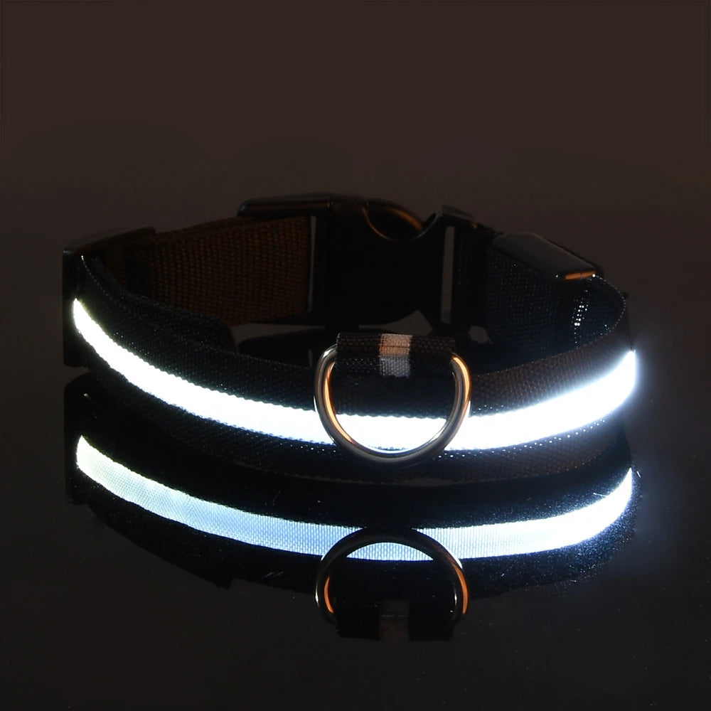 LED Glow Dog Leash & Collar
