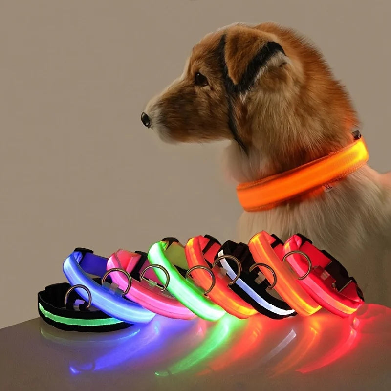 LED Glow Dog Leash & Collar