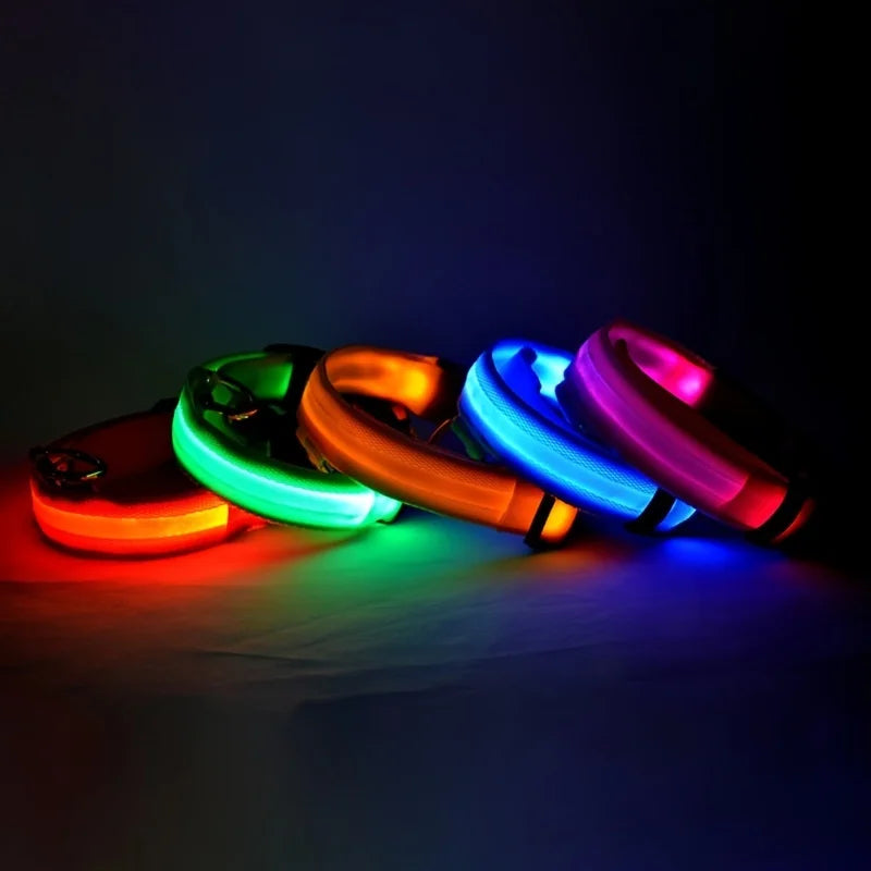 LED Glow Dog Leash & Collar