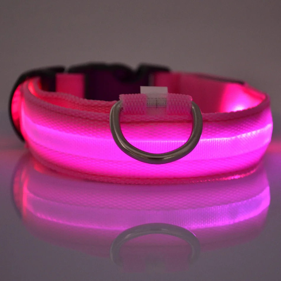 LED Glow Dog Leash & Collar