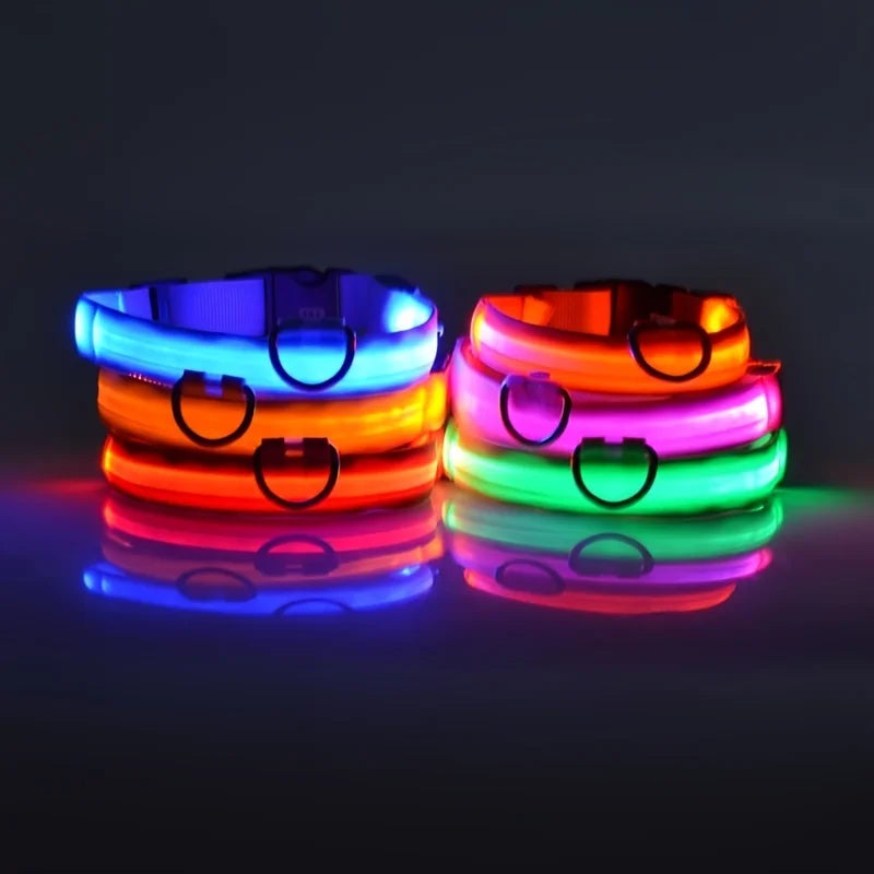 LED Glow Dog Leash & Collar