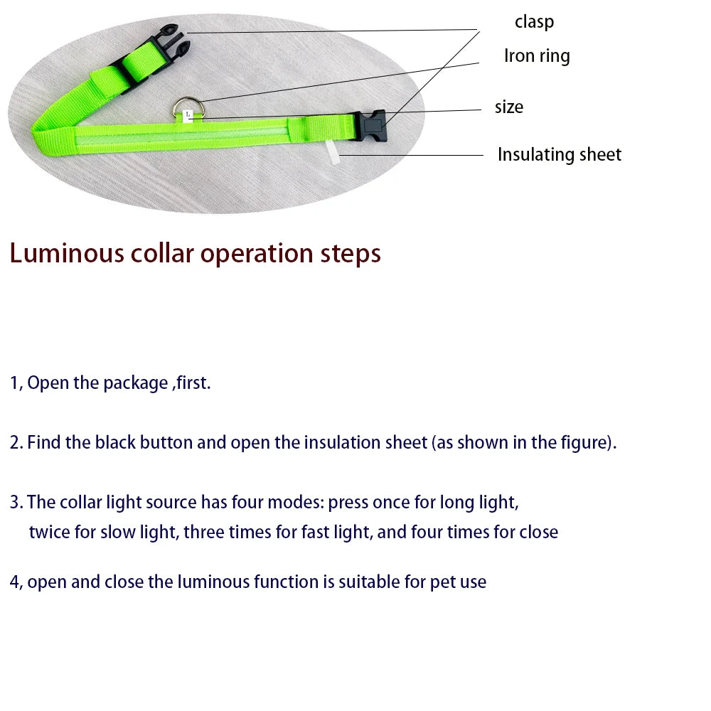 LED Glow Dog Leash & Collar