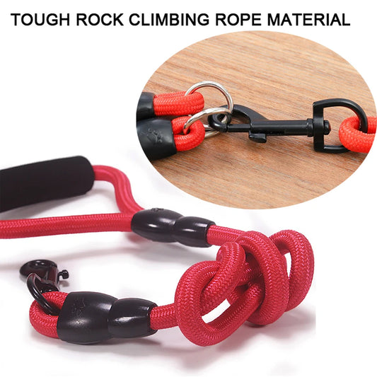 Multi-Dog Leash for 2–4 Dogs