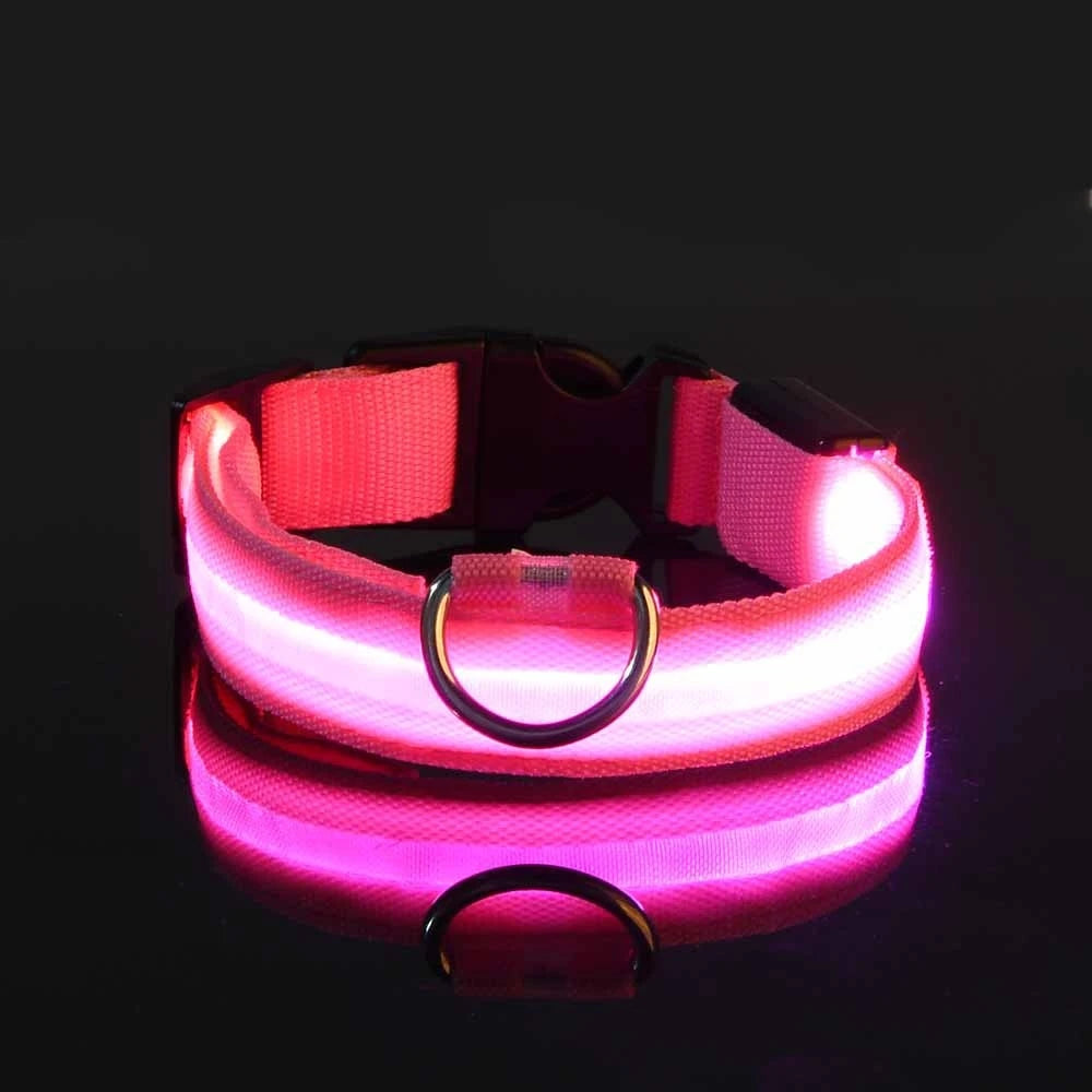 LED Glow Dog Leash & Collar